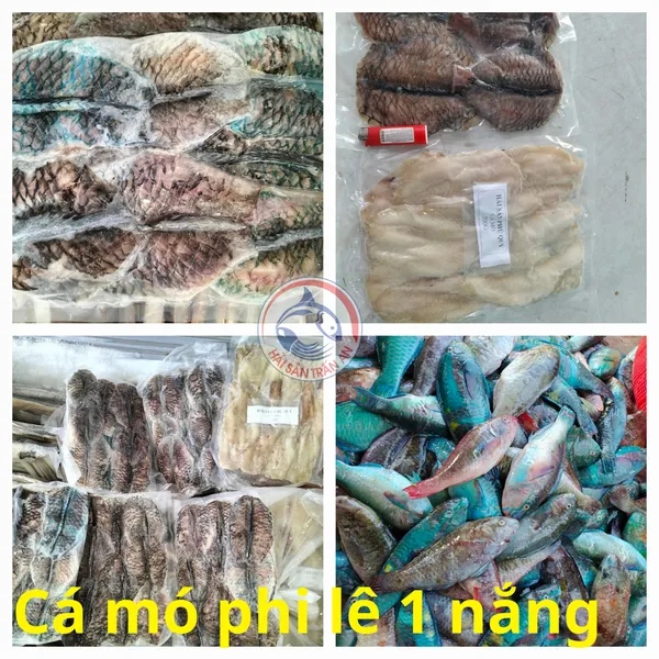 Cá mó Phú Quý