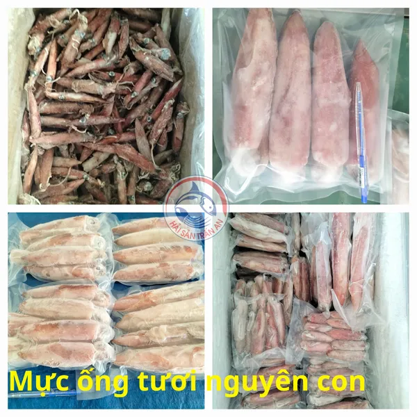 Mực ống Phú Quý