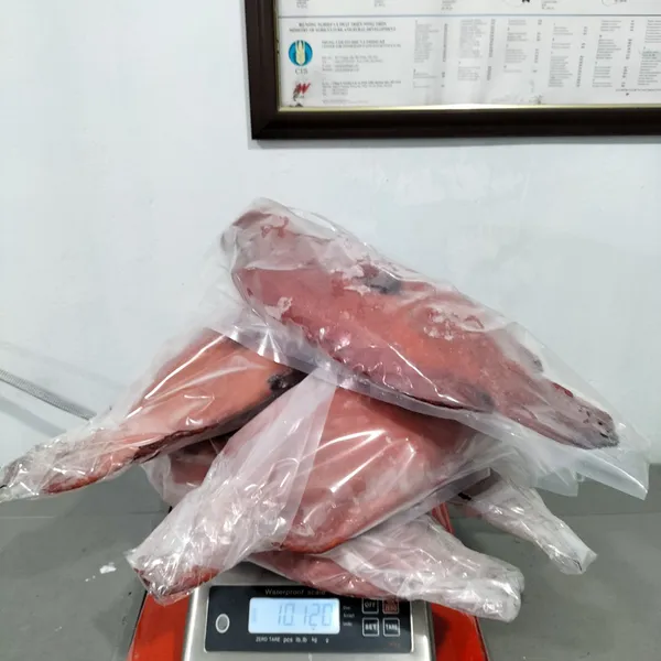 Cá mú biển Phú Quý