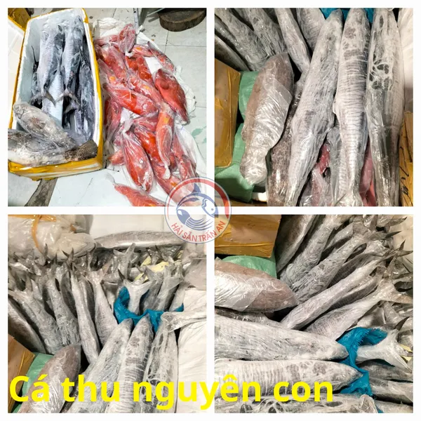 Cá thu nguyên con Phú Quý