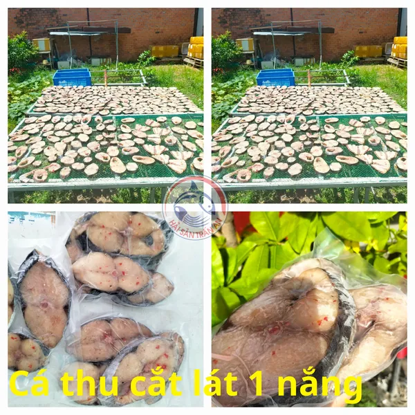 Cá tươi Phú Quý
