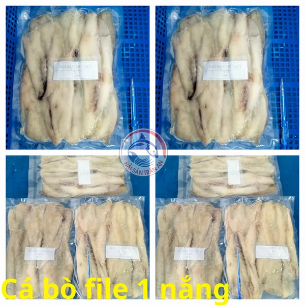 Cá bò phi lê Phú Quý