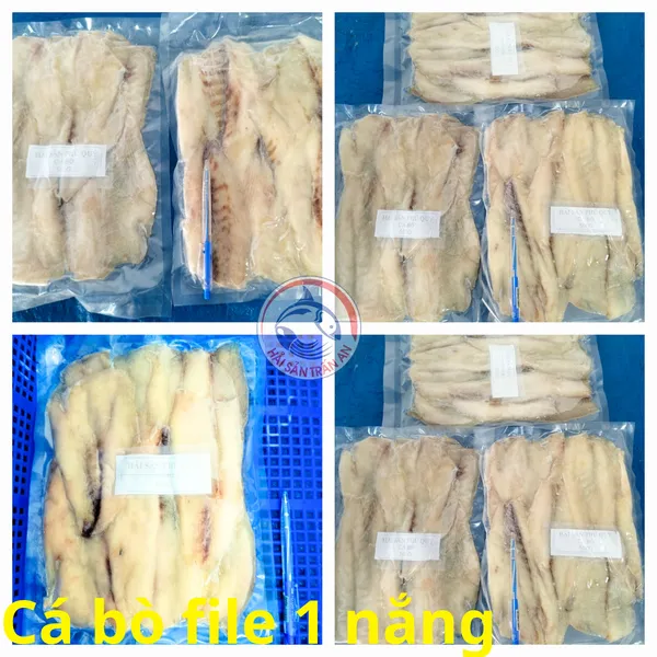 Cá tươi Phú Quý