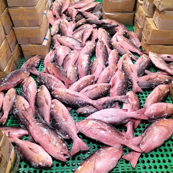 Cá Hồng Chuối Phú Quý