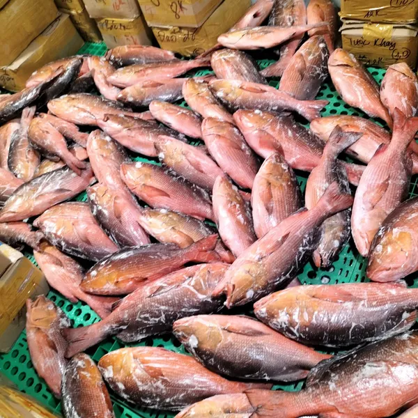 Cá Hồng Chuối Phú Quý