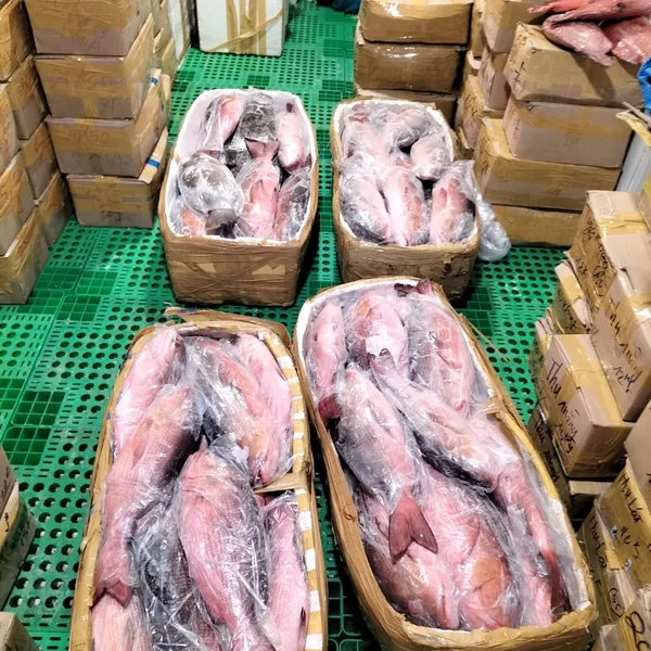 Cá Hồng Chuối Phú Quý