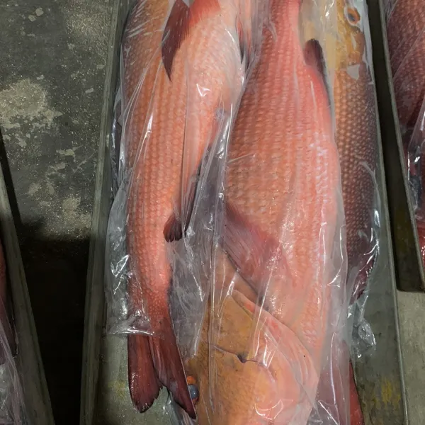 Cá Hồng Chuối Phú Quý