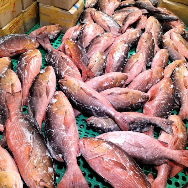 Cá Hồng Chuối Phú Quý