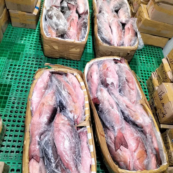 Cá Hồng Chuối Phú Quý