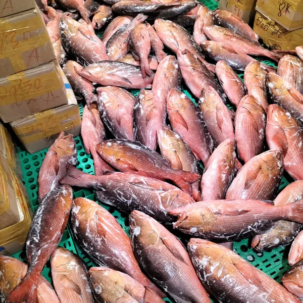 Cá Hồng Chuối Phú Quý