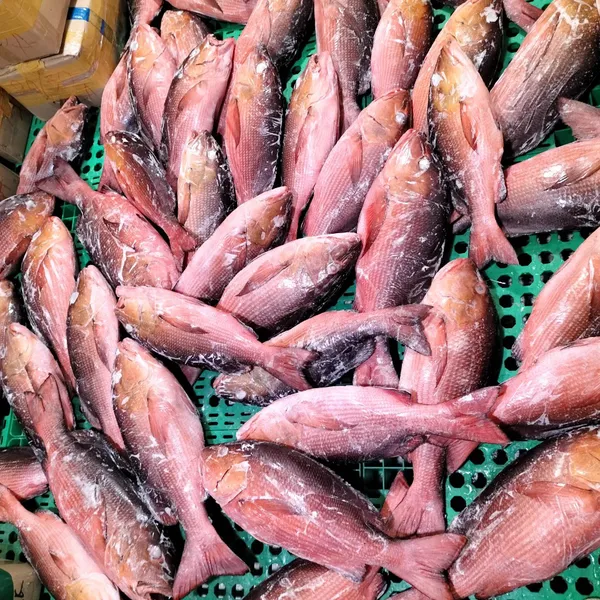 Cá Hồng Chuối Phú Quý