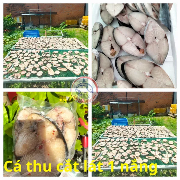Cá thu Phú Quý