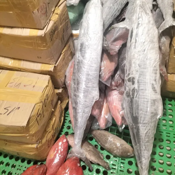 Cá thu nguyên con Phú Quý