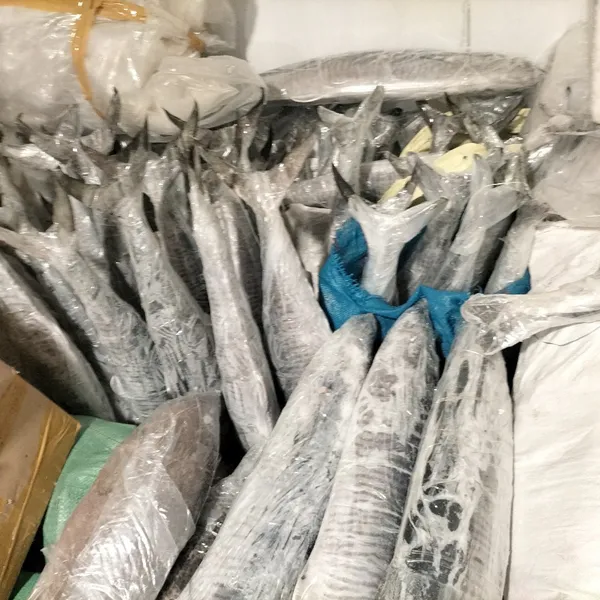 Cá thu nguyên con Phú Quý