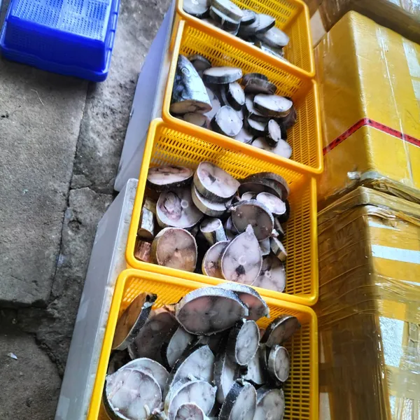 Cá thu nguyên con cắt lát Phú Quý