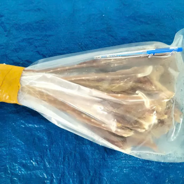 Cá đuối khô Hải Sản Phan Thiết Phú Quý Bình Thuận