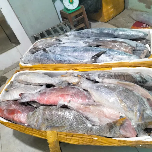 CÁ CAM - CÁ GÁY | Khám Phá Hải Sản Tươi Ngon Tại Hải Sản Trấn An