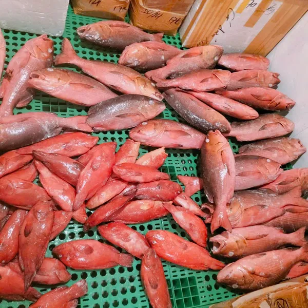 Cá Hồng Chuối
