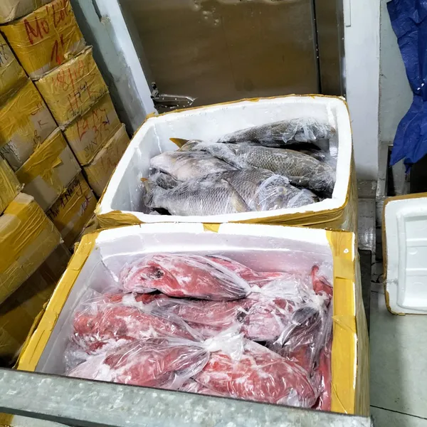 Cá mú biển Phú Quý
