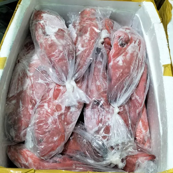 Cá mú biển Phú Quý