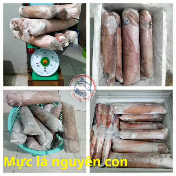 Mực lá Lớn Size Phú Quý
