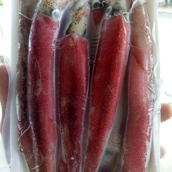 Mực ghim trứng đông tàu Phú Quý