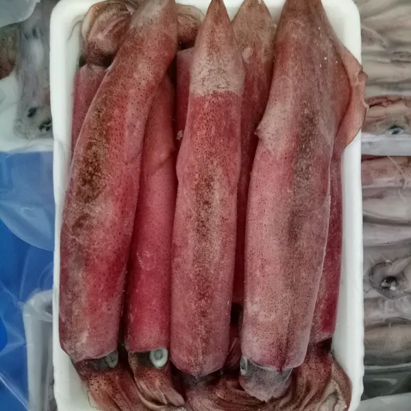 Mực ghim trứng đông tàu Phú Quý