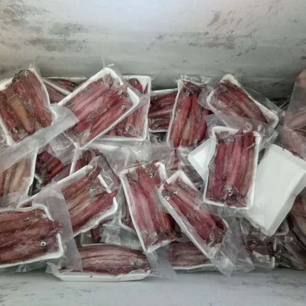 Mực ghim trứng đông tàu Phú Quý