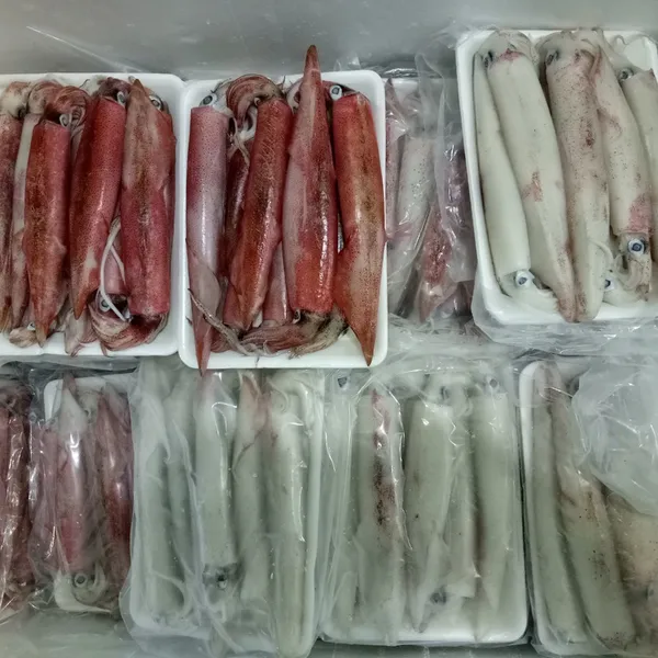 Mực ghim trứng đông tàu Phú Quý