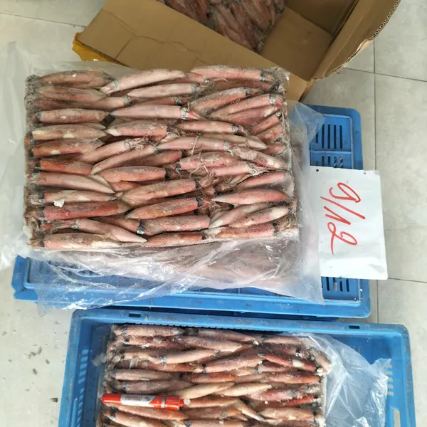 Mực ghim trứng đông tàu Phú Quý
