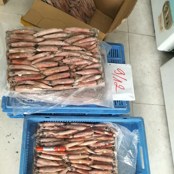 Mực ghim trứng đông tàu Phú Quý