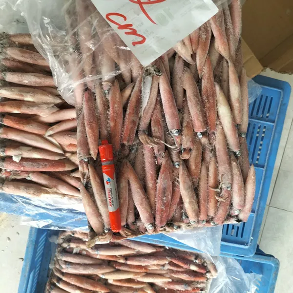 Mực ghim trứng đông tàu Phú Quý