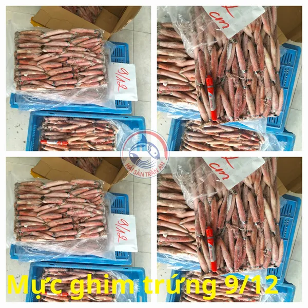 Mực ghim Phú Quý
