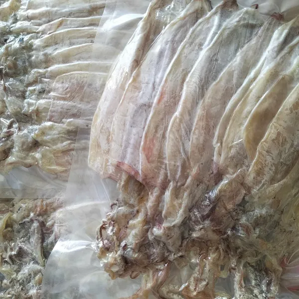 Mực khô size 8/10-12/14-18/20con