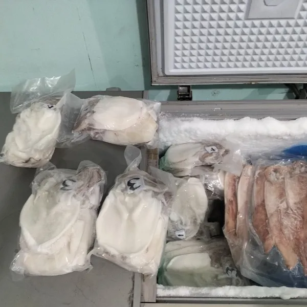 Mực một nắng Phú Quý