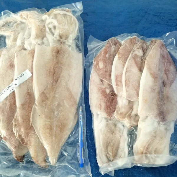 Mực một nắng Phú Quý