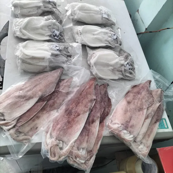 Mực một nắng Phú Quý