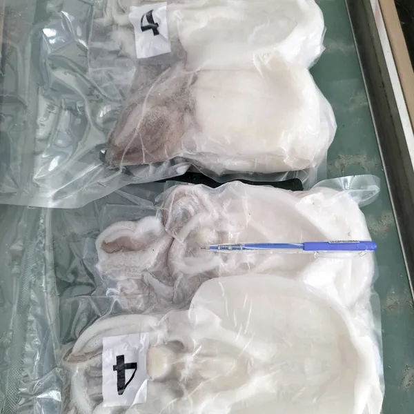 Mực một nắng Phú Quý