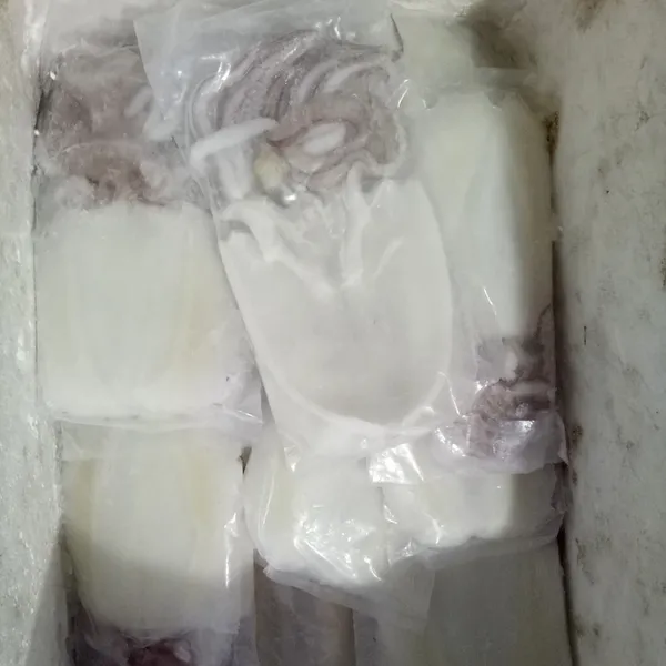 Mực một nắng Phú Quý
