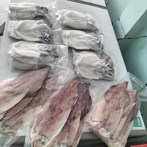 Mực một nắng Phú Quý