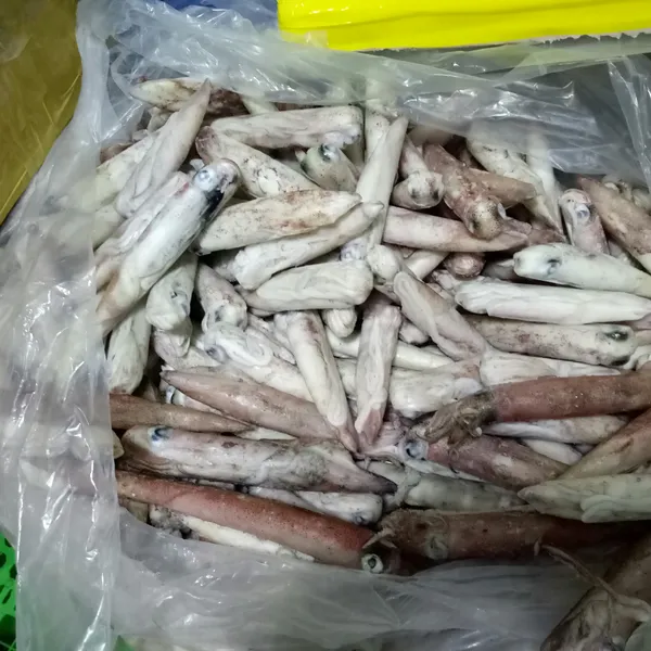 Mực ống 20/24 con Phú Quý