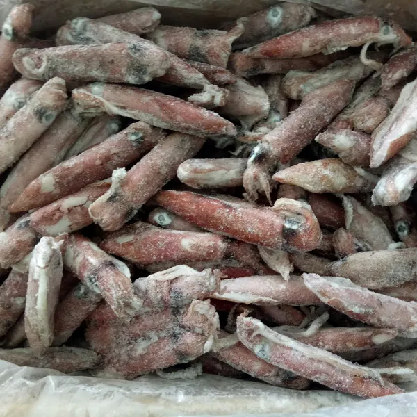 Mực ống 20/24 con Phú Quý