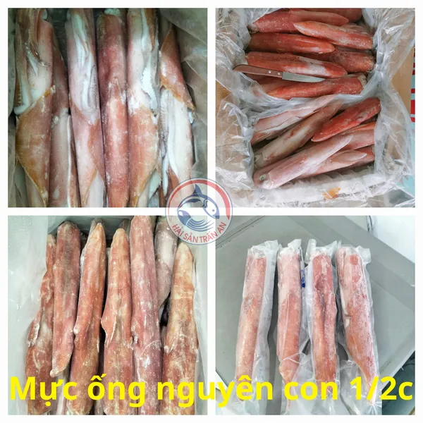 Mực ống nguyên con cấp đông Phú Quý