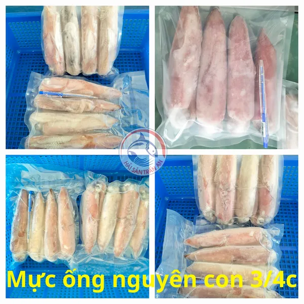 Mực ống 3/4 con Phú Quý