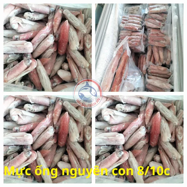 Mực ống 8/10c Phú Quý