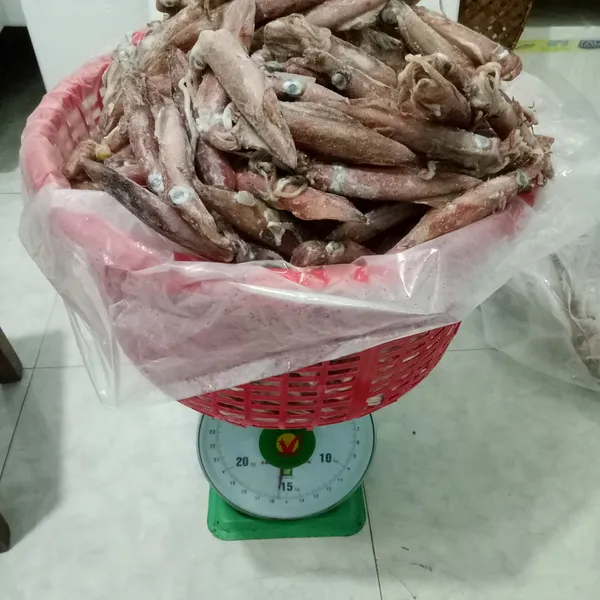Mực ống 20/24 con Phú Quý