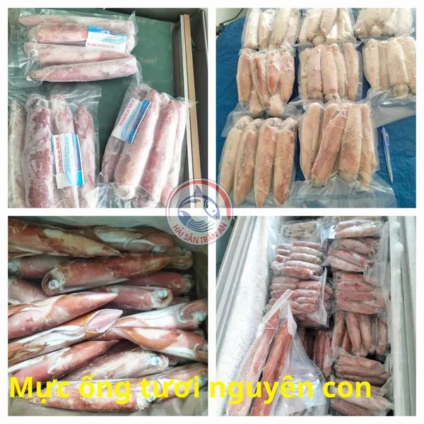 Mực ống Phú Quý