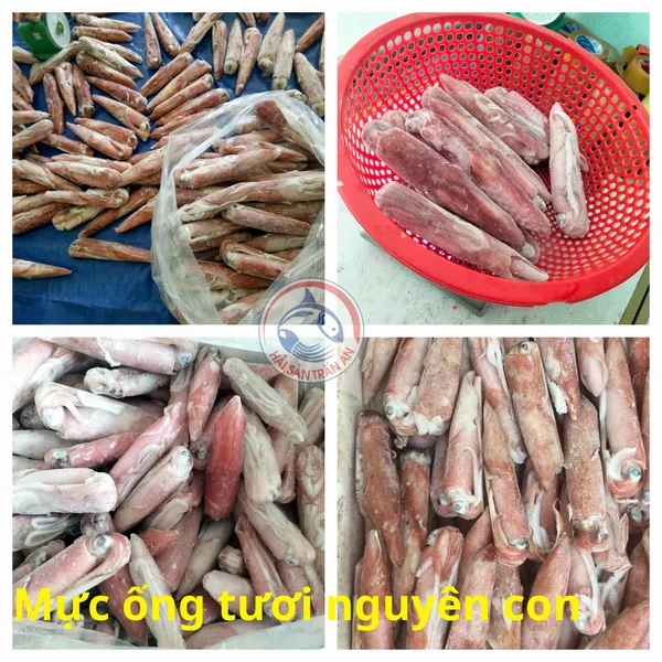 Mực ống nguyên con cấp đông Phú Quý