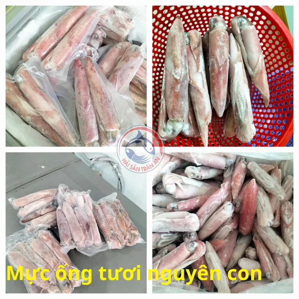 Mực ống Phú Quý
