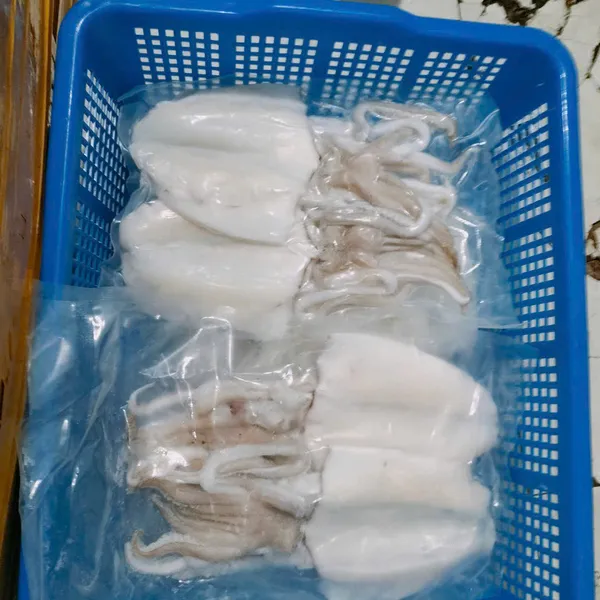 Mực lá 1 nắng